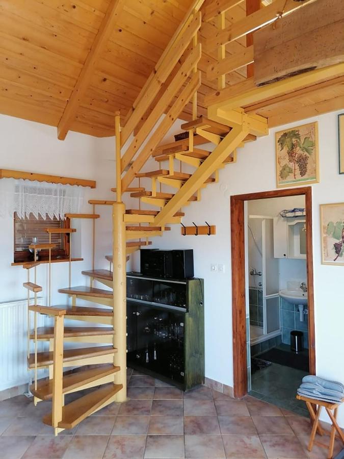 Apartma Pusa Pesnica pri Mariboru Экстерьер фото