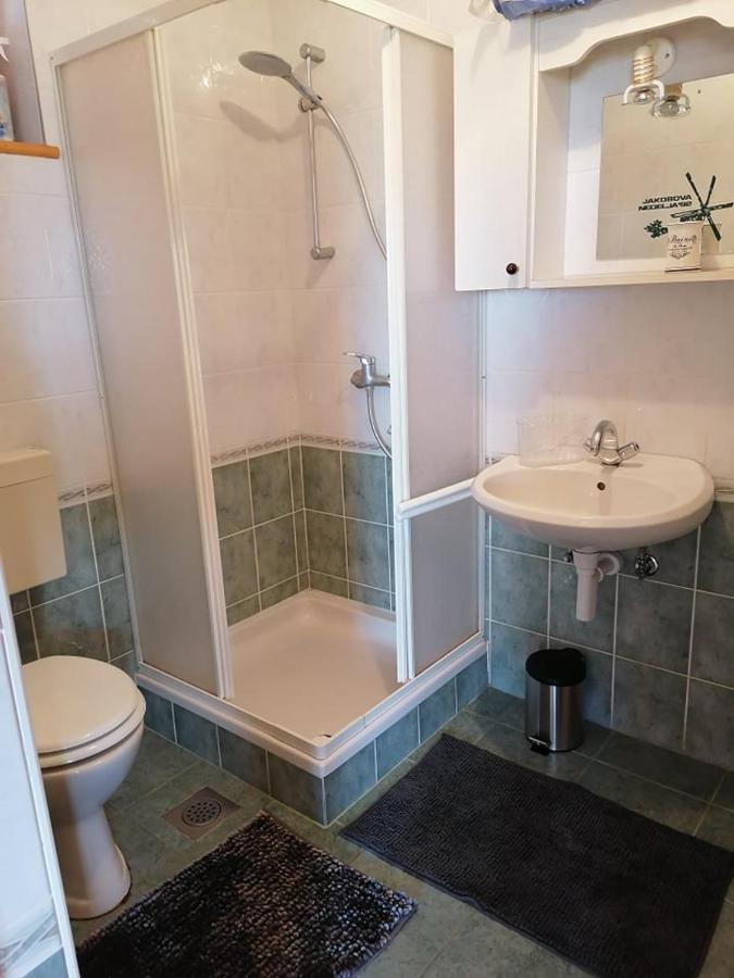 Apartma Pusa Pesnica pri Mariboru Экстерьер фото