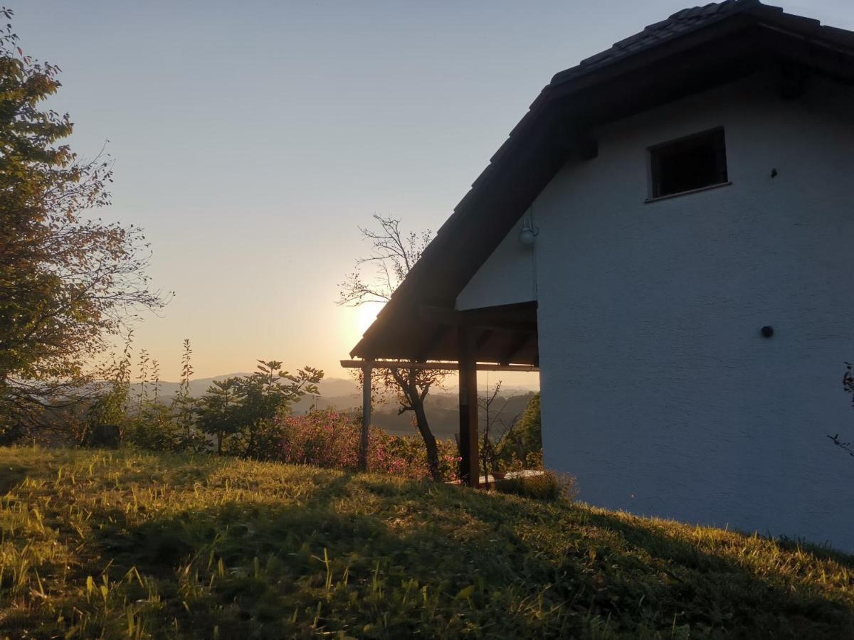 Apartma Pusa Pesnica pri Mariboru Экстерьер фото