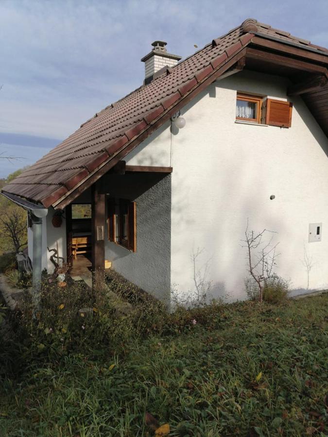 Apartma Pusa Pesnica pri Mariboru Экстерьер фото